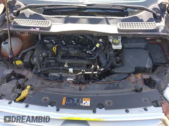 ✅ 2017 Ford Escape SE • VIN: 1FMCU9GD2HUA51174 • Lot: 41733323. Wystawiony na IAAI z przebiegiem 79 278 mil. Bezpłatny archiwum sprzedaży aukcyjnych z USA i szczegółowy raport historii pojazdu na DreamBid. Zdjęcie 10.