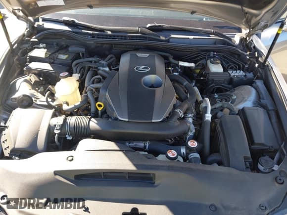 ✅ 2019 Lexus IS 300 • VIN: JTHBA1D21K5087578 • Lot: 43562264. Listed on IAAI with 61,296 mi. Free auction sales archive from the USA and detailed vehicle history report at DreamBid. Image 10.