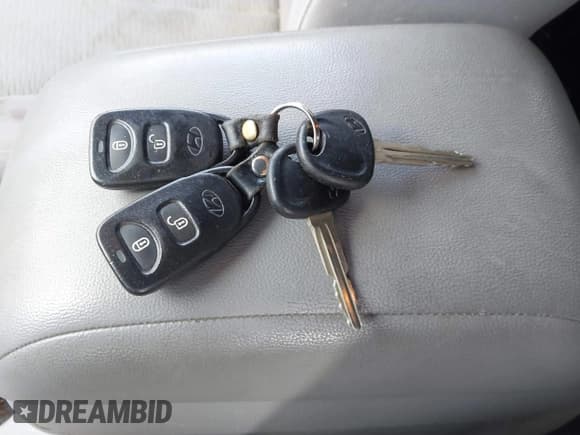 ✅ 2009 Hyundai Santa Fe GLS • VIN: 5NMSG13D09H233611 • Lot: 43587782. Listed on IAAI with 233,395 mi. Free auction sales archive from the USA and detailed vehicle history report at DreamBid. Image 11.