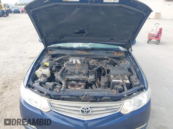 ✅ 2003 Toyota Solara SE • VIN: 2T1CF28P53C610155 • Lot: 42370971. Listed on IAAI with 153,164 mi. Free auction sales archive from the USA and detailed vehicle history report at DreamBid. Image 10.