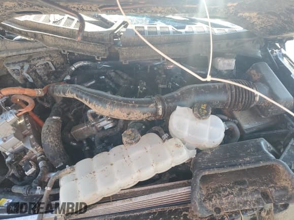 ✅ 2024 Ford F-150 King Ranch • VIN: 1FTFW6LD2RFB26476 • Лот: 69249865. Опубликован ранее на Copart с пробегом Не указан. Бесплатный доступ к архиву аукционных продаж из США и подробный отчёт об истории автомобиля на DreamBid. Изображение 11.