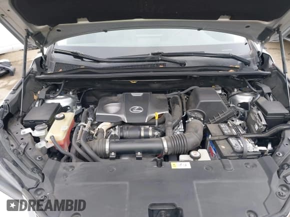 ✅ 2017 Lexus NX 200t • VIN: JTJYARBZ0H2084186 • Lot: 42430907. Listed on IAAI with 82,015 mi. Free auction sales archive from the USA and detailed vehicle history report at DreamBid. Image 10.