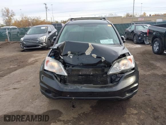 ✅ 2010 Honda CR-V EX • VIN: 5J6RE4H59AL007667 • Lot: 43610441. Listed on IAAI with 181,963 mi. Free auction sales archive from the USA and detailed vehicle history report at DreamBid. Image 12.