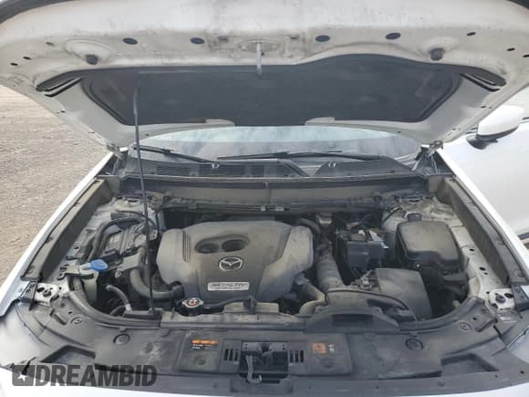 ✅ 2018 Mazda CX-9 Grand Touring • VIN: JM3TCBDY8J0202870 • Lot: 84273705. Listed on Copart with 162,473 mi. Free auction sales archive from the USA and detailed vehicle history report at DreamBid. Image 12.