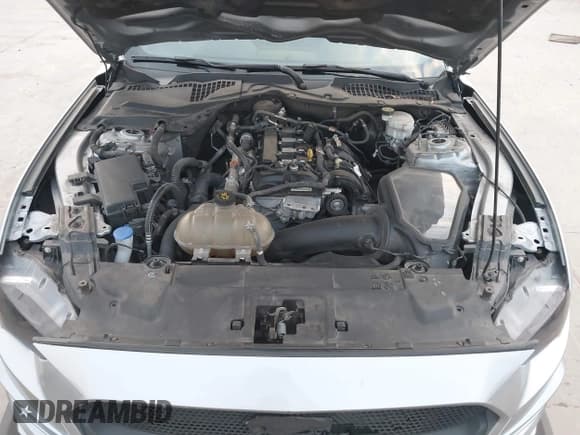 ✅ 2021 Ford Mustang EcoBoost • VIN: 1FA6P8TH6M5134077 • Lot: 42571442. Wystawiony na IAAI z przebiegiem 92 397 mil. Bezpłatny archiwum sprzedaży aukcyjnych z USA i szczegółowy raport historii pojazdu na DreamBid. Zdjęcie 10.