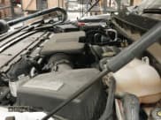 ✅ 2021 Chevrolet Tahoe Commercial • VIN: 1GNSCLEDXMR368174 • Lot: 43678076. Listed on IAAI with 55,323 mi. Free auction sales archive from the USA and detailed vehicle history report at DreamBid. Image 19.