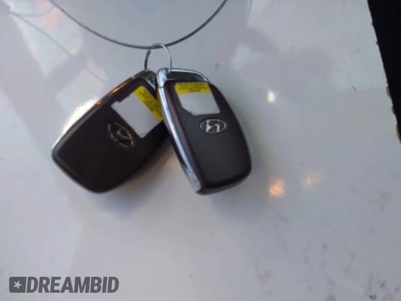 2018 Hyundai Elantra Eco z VIN 5NPD94LAXJH308963, wystawiony jako IAAI lot #42390268 z przebiegiem 140 781 mil mil oraz . Historia ofert i sprzedaży dostępna na DreamBid. Obrazek 11.