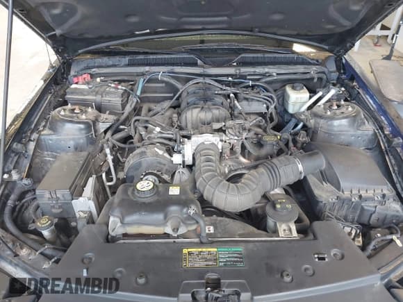 ✅ 2005 Ford Mustang Deluxe • VIN: 1ZVFT84N855165811 • Лот: 42208259. Опубликован ранее на IAAI с пробегом 128 799 миль. Бесплатный доступ к архиву аукционных продаж из США и подробный отчёт об истории автомобиля на DreamBid. Изображение 10.