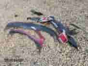 2013 Chevrolet Malibu LT with VIN 1G11E5SA5DF325750, listed as a Copart auction lot 84243425 with 181,835 mi miles and Salvage title. Bid and sale history available at DreamBid. Image 12.