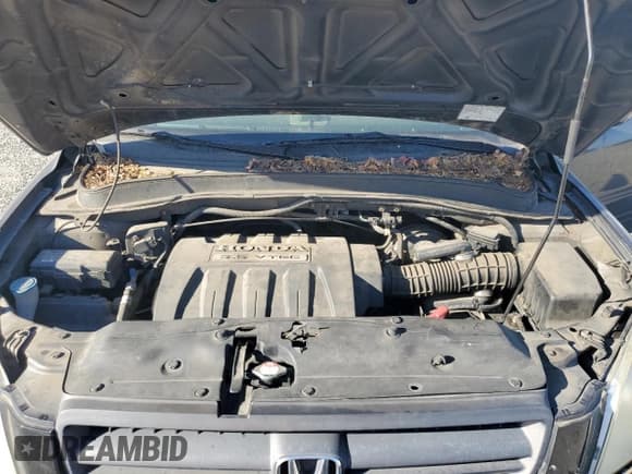 ✅ 2005 Honda Pilot EX-L • VIN: 2HKYF18765H564450 • Лот: 81683335. Опубликован ранее на Copart с пробегом 140 795 миль. Бесплатный доступ к архиву аукционных продаж из США и подробный отчёт об истории автомобиля на DreamBid. Изображение 11.