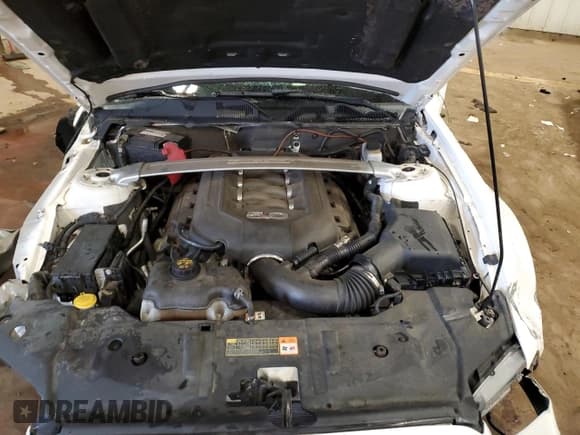 ✅ 2013 Ford Mustang GT • VIN: 1ZVBP8FF2D5202231 • Lot: 71309915. Listed on Copart with Not provided. Free auction sales archive from the USA and detailed vehicle history report at DreamBid. Image 11.