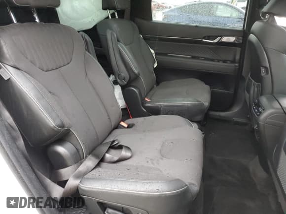 ✅ 2024 Hyundai Palisade Calligraphy • VIN: KM8R7DGE7RU762433 • Лот: 44319825. Опубликован ранее на Copart с пробегом 5 756 миль. Бесплатный доступ к архиву аукционных продаж из США и подробный отчёт об истории автомобиля на DreamBid. Изображение 11.