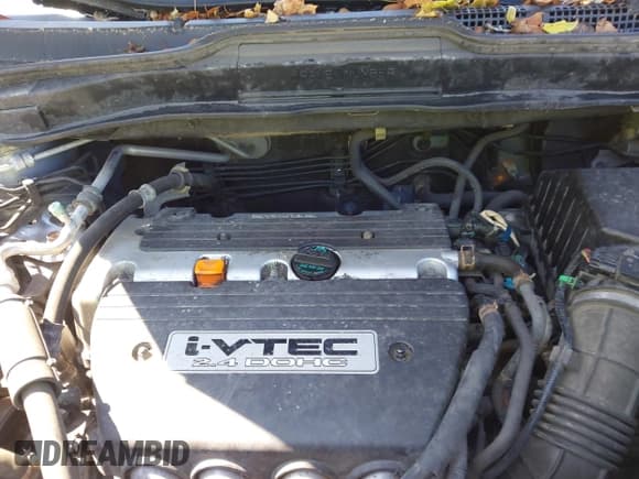 ✅ 2009 Honda CR-V EX • VIN: JHLRE38539C006187 • Lot: 43234756. Wystawiony na IAAI z przebiegiem 158 308 mil. Bezpłatny archiwum sprzedaży aukcyjnych z USA i szczegółowy raport historii pojazdu na DreamBid. Zdjęcie 10.