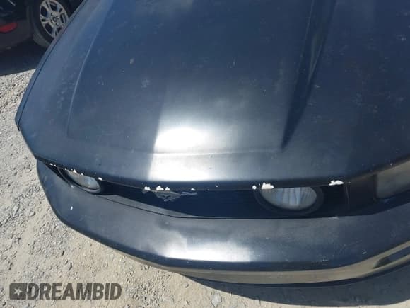 ✅ 2005 Ford Mustang GT Deluxe • VIN: 1ZVFT82H255119937 • Lot: 42342433. Listed on IAAI with 149,435 mi. Free auction sales archive from the USA and detailed vehicle history report at DreamBid. Image 16.