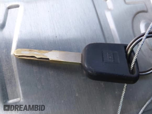 ✅ 2003 Honda Element DX • VIN: 5J6YH282X3L021500 • Лот: 43333923. Опубликован ранее на IAAI с пробегом 272 573 миль. Бесплатный доступ к архиву аукционных продаж из США и подробный отчёт об истории автомобиля на DreamBid. Изображение 11.