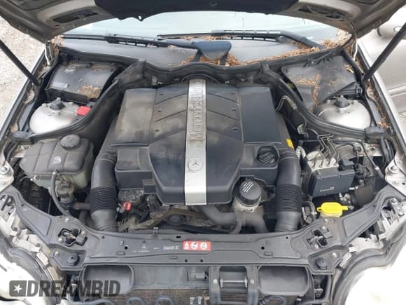 ✅ 2005 Mercedes-Benz C 320 • VIN: WDBRF84J55F585815 • Lot: 43134636. Wystawiony na IAAI z przebiegiem 109 429 mil. Bezpłatny archiwum sprzedaży aukcyjnych z USA i szczegółowy raport historii pojazdu na DreamBid. Zdjęcie 10.