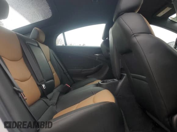 ✅ 2018 Chevrolet Volt Premier • VIN: 1G1RB6S52JU157089 • Lot: 76587134. Wystawiony na Copart z przebiegiem 53 856 mil. Bezpłatny archiwum sprzedaży aukcyjnych z USA i szczegółowy raport historii pojazdu na DreamBid. Zdjęcie 10.