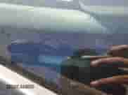 2005 BMW 3 Series M3 z VIN WBSBR93485PK09589, wystawiony jako Copart lot #89686165 z przebiegiem 215 449 mil mil oraz Czysty tytuł • Clean title. Historia ofert i sprzedaży dostępna na DreamBid. Obrazek 12.