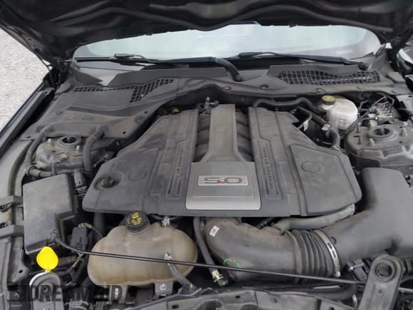 ✅ 2019 Ford Mustang GT • VIN: 1FA6P8CF7K5160974 • Lot: 43557577. Wystawiony na IAAI z przebiegiem 64 432 mil. Bezpłatny archiwum sprzedaży aukcyjnych z USA i szczegółowy raport historii pojazdu na DreamBid. Zdjęcie 10.