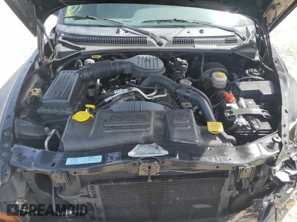 ✅ 2000 Dodge Dakota • VIN: 1B7GL22X7YS523916 • Lot: 56334055. Wystawiony na Copart z przebiegiem 294 552 mil. Bezpłatny archiwum sprzedaży aukcyjnych z USA i szczegółowy raport historii pojazdu na DreamBid. Zdjęcie 11.