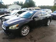 ✅ 2009 Nissan Maxima SV • VIN: 1N4AA51E19C832649 • Lot: 42857290. Listed on IAAI with Not provided. Free auction sales archive from the USA and detailed vehicle history report at DreamBid. Image 2.