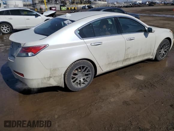 ✅ 2010 Acura TL Technology • VIN: 19UUA9F56AA800112 • Lot: 49208975. Wystawiony na Copart z przebiegiem 223 409 mil. Bezpłatny archiwum sprzedaży aukcyjnych z USA i szczegółowy raport historii pojazdu na DreamBid. Zdjęcie 3.