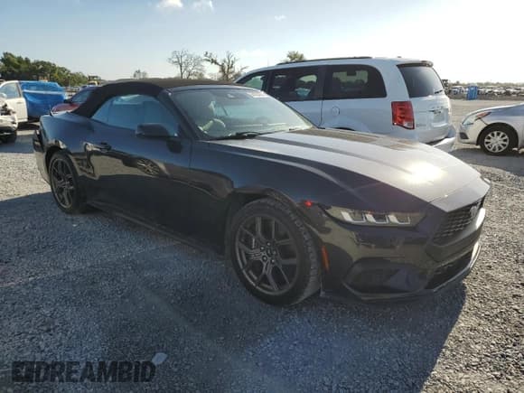 ✅ 2024 Ford Mustang EcoBoost • VIN: 1FAGP8UH7R5119176 • Лот: 64825065. Опубликован ранее на Copart с пробегом 5 716 миль. Бесплатный доступ к архиву аукционных продаж из США и подробный отчёт об истории автомобиля на DreamBid. Изображение 4.