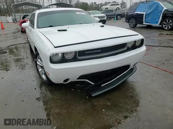 ✅ 2014 Dodge Challenger SXT • VIN: 2C3CDYAG9EH295134 • Lot: 41808115. Wystawiony na Copart z przebiegiem 195 587 mil. Bezpłatny archiwum sprzedaży aukcyjnych z USA i szczegółowy raport historii pojazdu na DreamBid. Zdjęcie 14.
