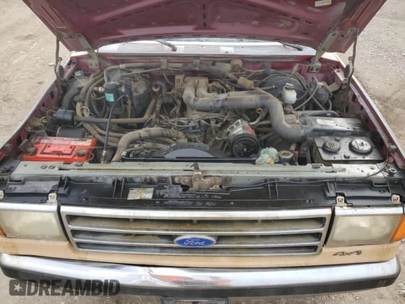 ✅ 1991 Ford F-250 • VIN: 2FTHF26G2MCA08830 • Лот: 87196215. Опубликован ранее на Copart с пробегом 40 222 миль. Бесплатный доступ к архиву аукционных продаж из США и подробный отчёт об истории автомобиля на DreamBid. Изображение 11.