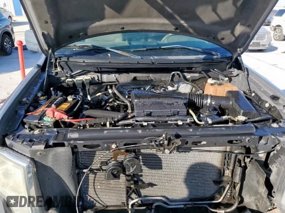 ✅ 2010 Ford F-150 XL • VIN: 1FTMF1CW0AKE74641 • Lot: 91422345. Wystawiony na Copart z przebiegiem 158 019 mil. Bezpłatny archiwum sprzedaży aukcyjnych z USA i szczegółowy raport historii pojazdu na DreamBid. Zdjęcie 11.