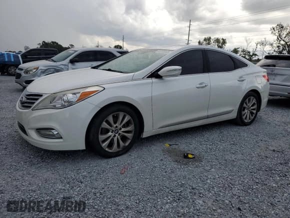 ✅ 2013 Hyundai Azera • VIN: KMHFG4JG6DA219419 • Лот: 65783055. Опубликован ранее на Copart с пробегом 123 326 миль. Бесплатный доступ к архиву аукционных продаж из США и подробный отчёт об истории автомобиля на DreamBid. Изображение 1.