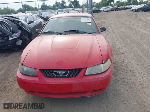 ✅ 2003 Ford Mustang Standard • VIN: 1FAFP40403F411552 • Lot: 42829909. Wystawiony na IAAI z przebiegiem 217 558 mil. Bezpłatny archiwum sprzedaży aukcyjnych z USA i szczegółowy raport historii pojazdu na DreamBid. Zdjęcie 13.
