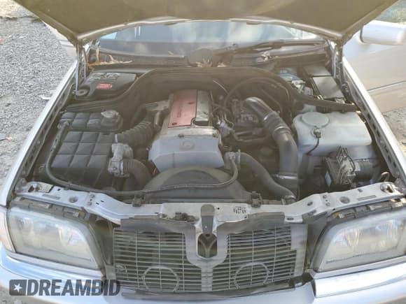 ✅ 1999 Mercedes-Benz C 230/260/280/320 • VIN: WDBHA24G6XA743543 • Лот: 85486164. Опубликован ранее на Copart с пробегом 252 466 миль. Бесплатный доступ к архиву аукционных продаж из США и подробный отчёт об истории автомобиля на DreamBid. Изображение 12.