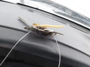 ✅ 1997 Ford F-350 • VIN: 1FTJW36G9VEC05352 • Lot: 43725291. Listed on IAAI with 135,612 mi. Free auction sales archive from the USA and detailed vehicle history report at DreamBid. Image 10.