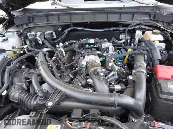 ✅ 2024 Ford Bronco Wildtrak • VIN: 1FMEE2BP0RLA94255 • Lot: 42316391. Listed on IAAI with 7,678 mi. Free auction sales archive from the USA and detailed vehicle history report at DreamBid. Image 10.