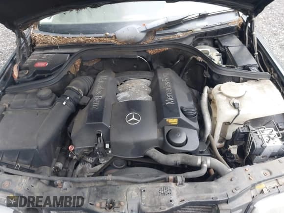 ✅ 1999 Mercedes-Benz C 230/260/280/320 • VIN: WDBHA29G6XA755085 • Lot: 43183129. Listed on IAAI with 176,016 mi. Free auction sales archive from the USA and detailed vehicle history report at DreamBid. Image 10.