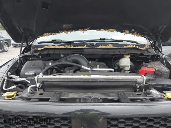 ✅ 2017 Ram 1500 Tradesman • VIN: 1C6RR7KT3HS823798 • Lot: 43051794. Wystawiony na IAAI z przebiegiem 154 662 mil. Bezpłatny archiwum sprzedaży aukcyjnych z USA i szczegółowy raport historii pojazdu na DreamBid. Zdjęcie 10.