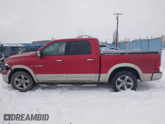 2010 Dodge 1500 Sport z VIN 1D7RV1CT6AS215298, wystawiony jako IAAI lot #41302229 z przebiegiem 299 836 mil mil oraz . Historia ofert i sprzedaży dostępna na DreamBid. Obrazek 14.