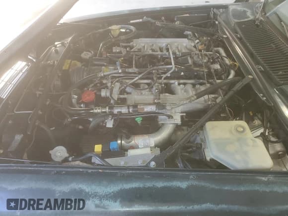 ✅ 1991 Jaguar XJS • VIN: SAJTW4841MC177317 • Lot: 70994365. Listed on Copart with 114,102 mi. Free auction sales archive from the USA and detailed vehicle history report at DreamBid. Image 11.