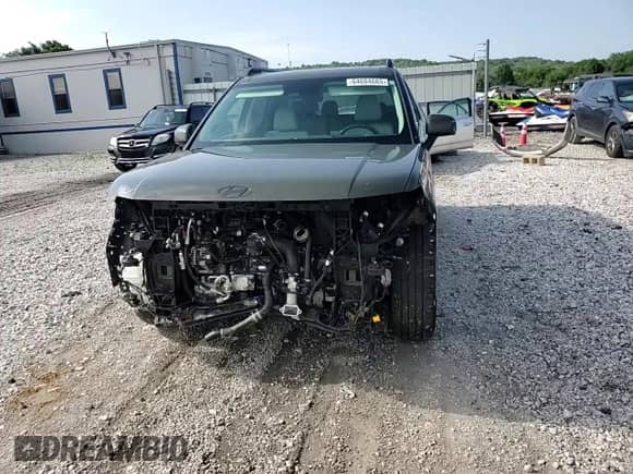 2024 Hyundai Santa Fe Calligraphy with VIN 5NMP5DGL9RH019702, listed as a Copart auction lot 64684665 with 19,213 mi miles and Salvage title. Bid and sale history available at DreamBid. Image 15.