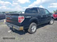 ✅ 2010 Ford F-150 XL • VIN: 1FTEW1E85AFC37042 • Lot: 42629730. Listed on IAAI with 195,760 mi. Free auction sales archive from the USA and detailed vehicle history report at DreamBid. Image 4.