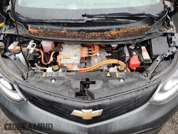 ✅ 2018 Chevrolet Bolt EV LT • VIN: 1G1FW6S00J4139492 • Lot: 82703334. Wystawiony na Copart z przebiegiem 38 912 mil. Bezpłatny archiwum sprzedaży aukcyjnych z USA i szczegółowy raport historii pojazdu na DreamBid. Zdjęcie 12.