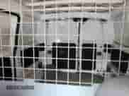 2018 Chevrolet City Express Cargo LT с VIN 3N63M0ZN3JK697106, выставлен на аукционе Copart как лот 59854275 с пробегом 148 572 миль миль и Чистый • Clean title. История ставок и продаж доступна на DreamBid. Изображение 10.