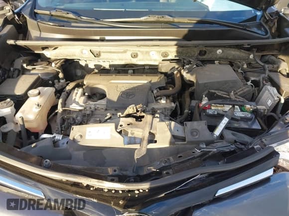 ✅ 2017 Toyota RAV4 LE • VIN: JTMZFREV7HJ111455 • Лот: 43411700. Опубликован ранее на IAAI с пробегом 52 344 миль. Бесплатный доступ к архиву аукционных продаж из США и подробный отчёт об истории автомобиля на DreamBid. Изображение 10.