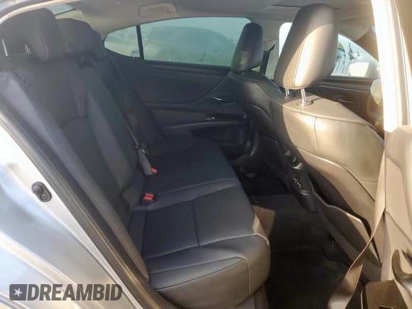 ✅ 2024 Lexus ES 250 • VIN: 58AD11D1XRU013033 • Lot: 60869945. Wystawiony na Copart z przebiegiem 17 916 mil. Bezpłatny archiwum sprzedaży aukcyjnych z USA i szczegółowy raport historii pojazdu na DreamBid. Zdjęcie 10.