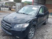 ✅ 2009 Hyundai Santa Fe SE • VIN: 5NMSH13E09H288324 • Lot: 42783569. Listed on IAAI with 251,737 mi. Free auction sales archive from the USA and detailed vehicle history report at DreamBid. Image 2.