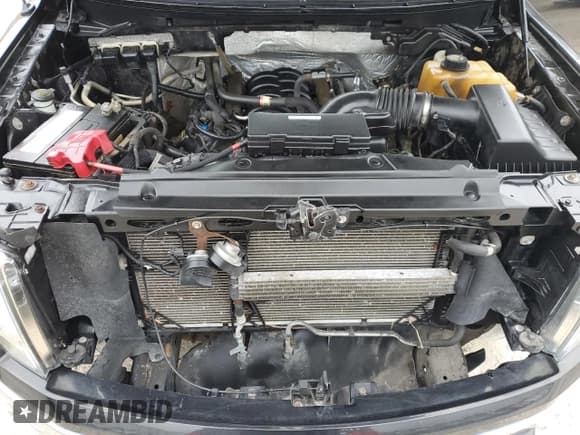 ✅ 2013 Ford F-150 XL • VIN: 1FTFX1EF2DFC38086 • Lot: 42149595. Wystawiony na Copart z przebiegiem 95 232 mil. Bezpłatny archiwum sprzedaży aukcyjnych z USA i szczegółowy raport historii pojazdu na DreamBid. Zdjęcie 11.