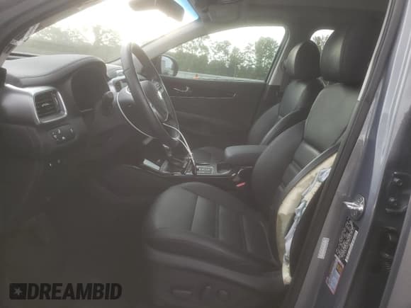 ✅ 2019 Kia Sorento EX Sport • VIN: 5XYPHDA58KG603168 • Lot: 60925485. Listed on Copart with 10,824 mi. Free auction sales archive from the USA and detailed vehicle history report at DreamBid. Image 7.