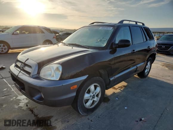 ✅ 2005 Hyundai Santa Fe GLS • VIN: KM8SC13E95U916944 • Lot: 90069825. Listed on Copart with 282,287 mi. Free auction sales archive from the USA and detailed vehicle history report at DreamBid. Image 1.