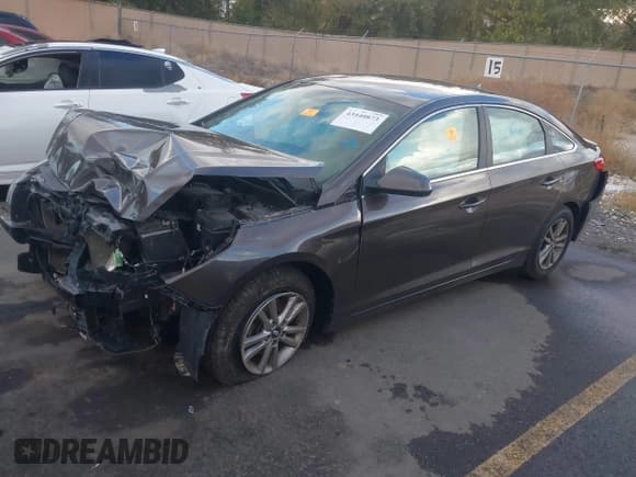 ✅ 2016 Hyundai Sonata SE • VIN: 5NPE24AF2GH371541 • Лот: 43440873. Опубликован ранее на IAAI с пробегом Не указан. Бесплатный доступ к архиву аукционных продаж из США и подробный отчёт об истории автомобиля на DreamBid. Изображение 16.